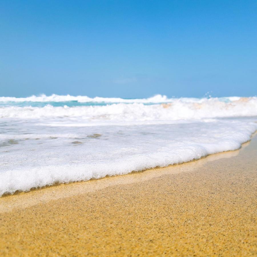 Surf Spot Deluxe Ftv By Sea You There Fuerteventura Corralejo Eksteriør bilde